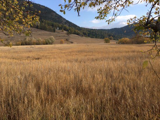 Riserva Naturale Lozon