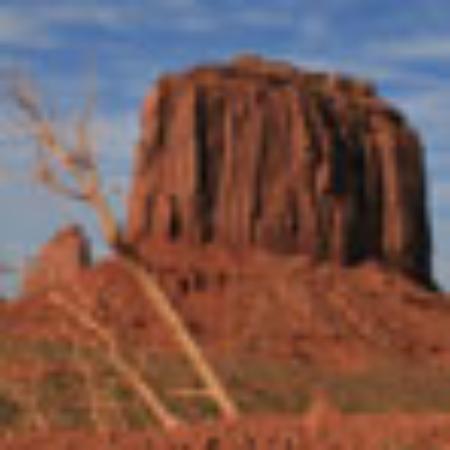 Bar Ristorante Mondrian