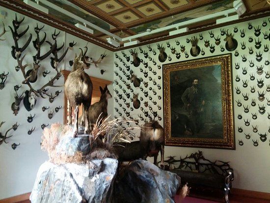 Museo regionale della fauna alpina